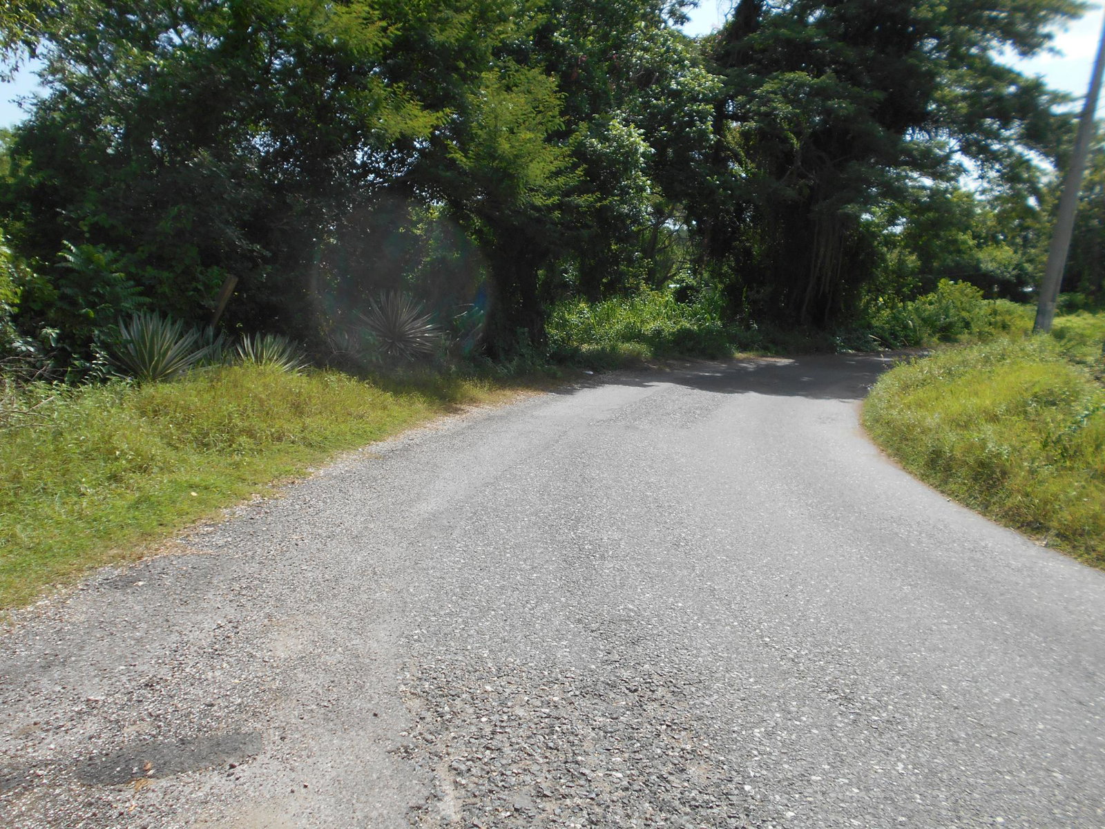 Seventh image of Rosewell District Clarend in May Pen, Clarendon, Jamaica - property is For Sale