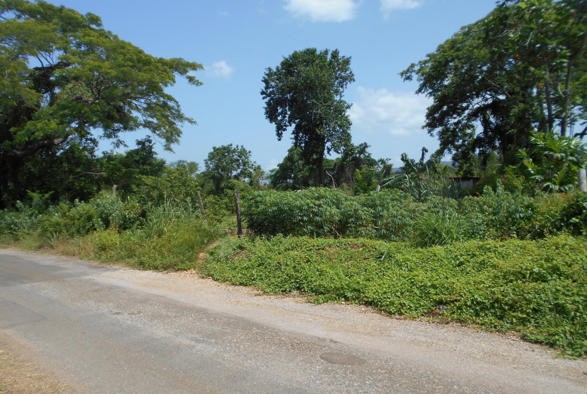 Ninth image of Rosewell District Clarend in May Pen, Clarendon, Jamaica - property is For Sale
