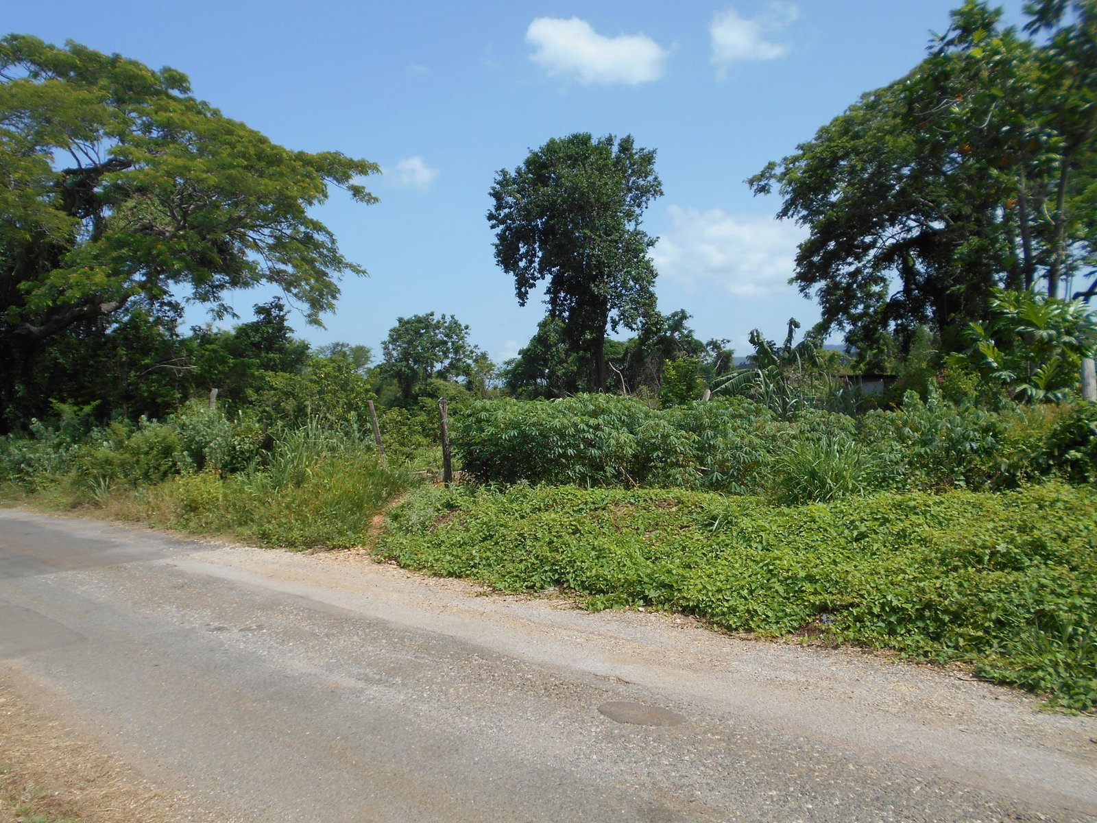 Ninth image of Rosewell District Clarend in May Pen, Clarendon, Jamaica - property is For Sale