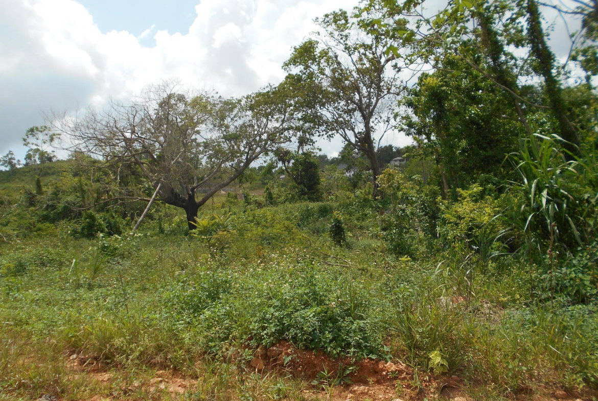Tenth image of Rosewell District Clarend in May Pen, Clarendon, Jamaica - property is For Sale