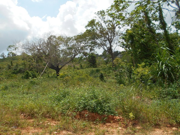 Tenth image of Rosewell District Clarend in May Pen, Clarendon, Jamaica - property is For Sale