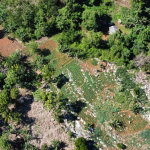 First image of Moreland, Guys Hill, St. Catherine in GUYS HILL, St. Catherine, Jamaica - property is For Sale