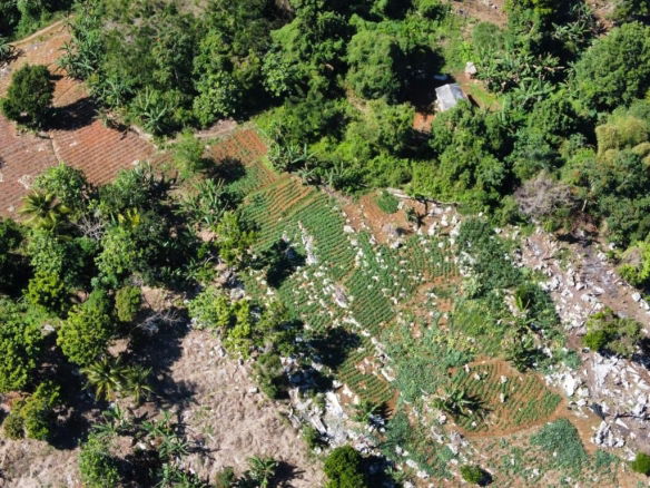 First image of Moreland, Guys Hill, St. Catherine in GUYS HILL, St. Catherine, Jamaica - property is For Sale