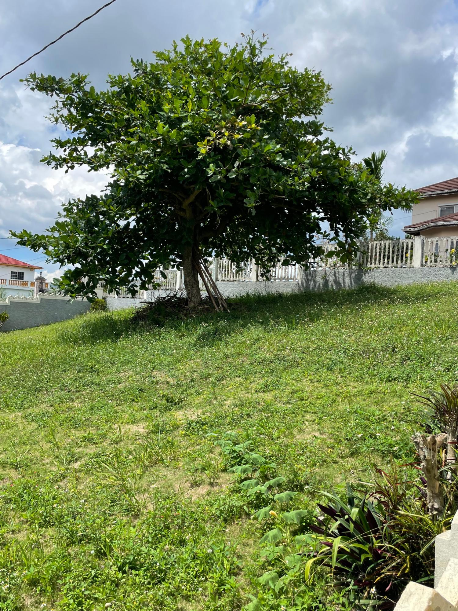 Fifteenth image of Lynmar Drive, Mandeville in Mandeville, Manchester, Jamaica - property is For Sale