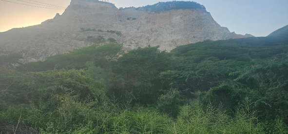 Seventh image of Parl Road in BULL BAY, St. Andrew, Jamaica - property is For Sale
