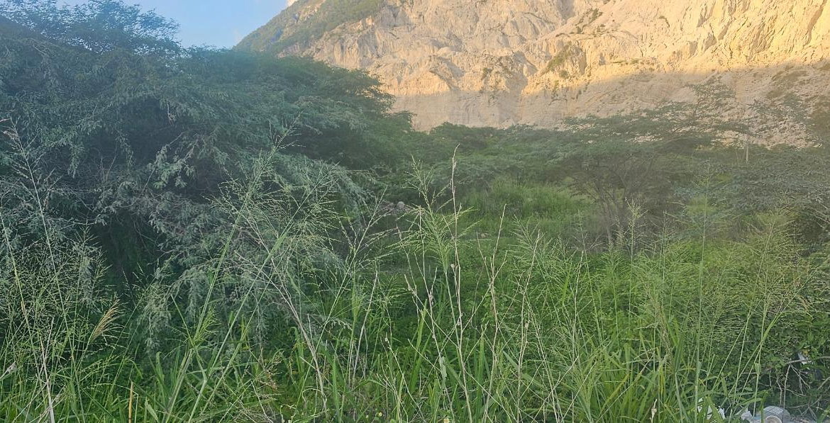 Eighth image of Parl Road in BULL BAY, St. Andrew, Jamaica - property is For Sale
