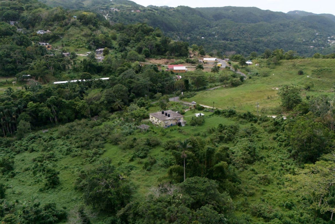 Twenty-Second image of 1 Golden Spring Estate in Golden Spring, St. Ann, Jamaica - property is For Sale