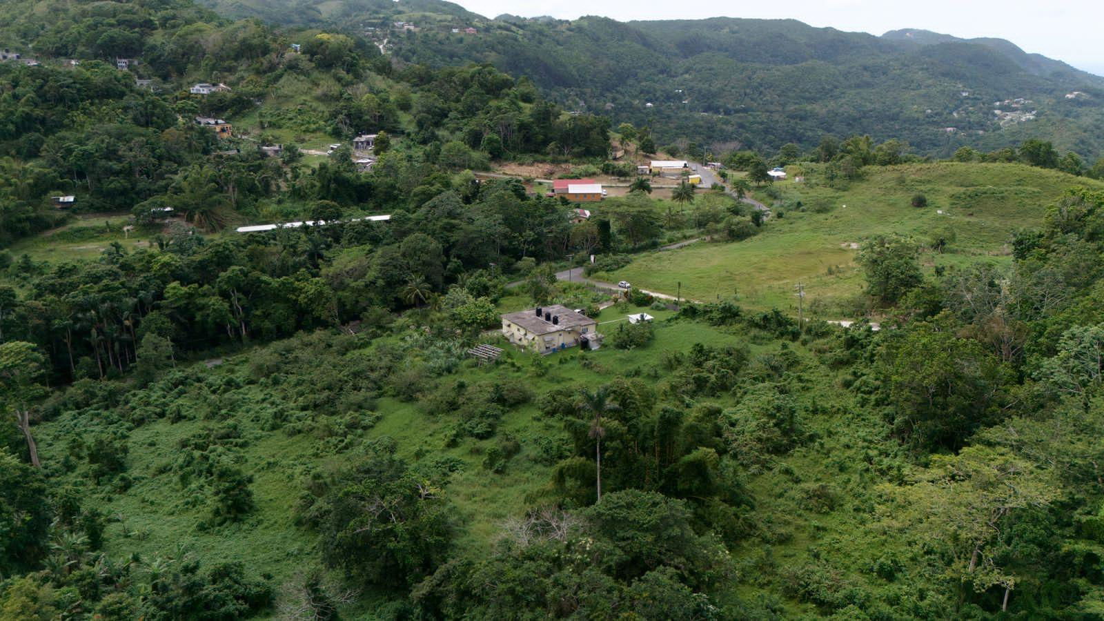 Twenty-Second image of 1 Golden Spring Estate in Golden Spring, St. Ann, Jamaica - property is For Sale