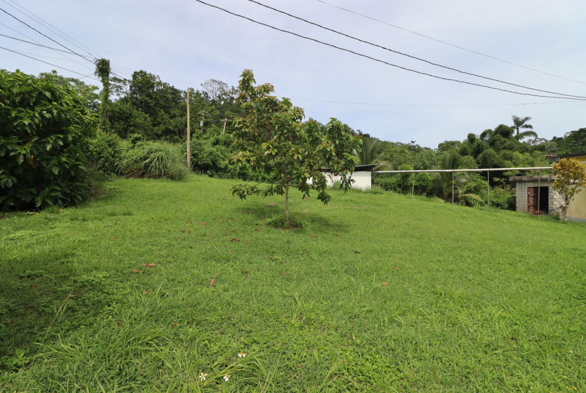 Twenty-Sixth image of 1 Golden Spring Estate in Golden Spring, St. Ann, Jamaica - property is For Sale