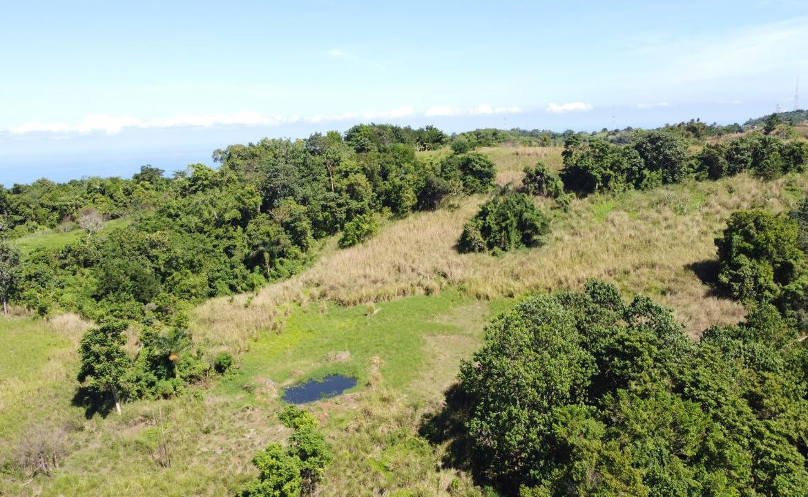 8.42-Acres-Residential-Development-Land-for-Sale-in-Southfield-St.-Ann First image of Southfield in Runaway Bay, St. Ann, Jamaica - property is For Sale