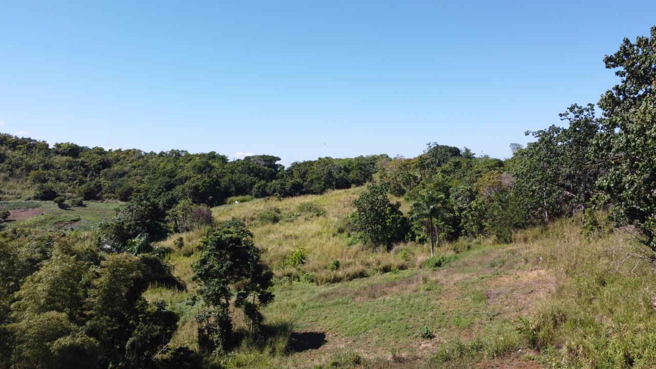 8.42-Acres-Residential-Development-Land-for-Sale-in-Southfield-St.-Ann Thirteenth image of Southfield in Runaway Bay, St. Ann, Jamaica - property is For Sale