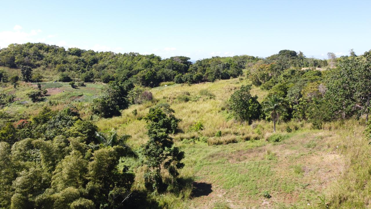 8.42-Acres-Residential-Development-Land-for-Sale-in-Southfield-St.-Ann Fourteenth image of Southfield in Runaway Bay, St. Ann, Jamaica - property is For Sale