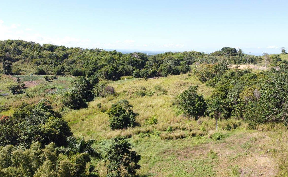 8.42-Acres-Residential-Development-Land-for-Sale-in-Southfield-St.-Ann Fifteenth image of Southfield in Runaway Bay, St. Ann, Jamaica - property is For Sale