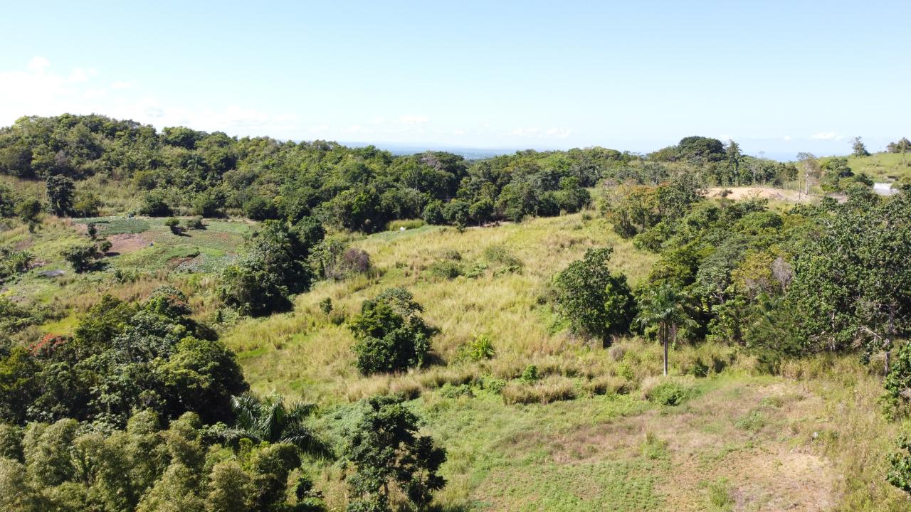 8.42-Acres-Residential-Development-Land-for-Sale-in-Southfield-St.-Ann Fifteenth image of Southfield in Runaway Bay, St. Ann, Jamaica - property is For Sale