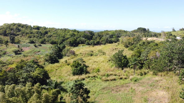Fifteenth image of Southfield in Runaway Bay, St. Ann, Jamaica - property is For Sale