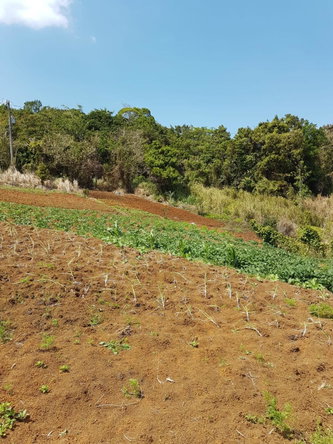 Seventeenth image of Southfield in Runaway Bay, St. Ann, Jamaica - property is For Sale