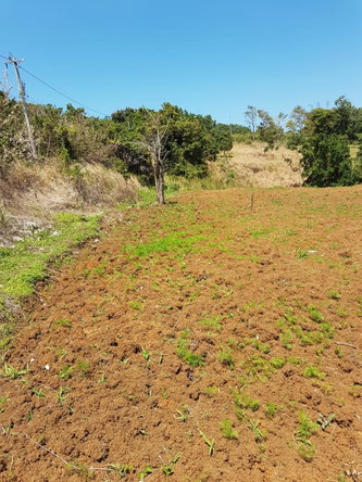 Eighteenth image of Southfield in Runaway Bay, St. Ann, Jamaica - property is For Sale