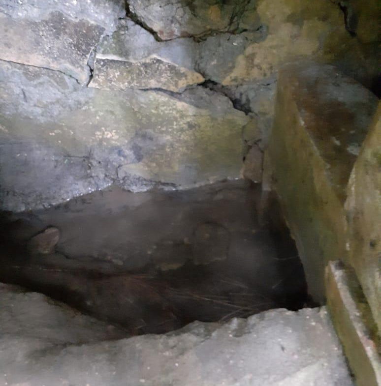 8.42-Acres-Residential-Development-Land-for-Sale-in-Southfield-St.-Ann Twenty-Fourth image of Southfield in Runaway Bay, St. Ann, Jamaica - property is For Sale