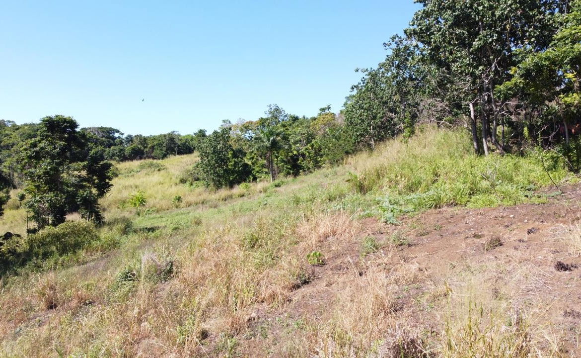 8.42-Acres-Residential-Development-Land-for-Sale-in-Southfield-St.-Ann Twenty-Seventh image of Southfield in Runaway Bay, St. Ann, Jamaica - property is For Sale