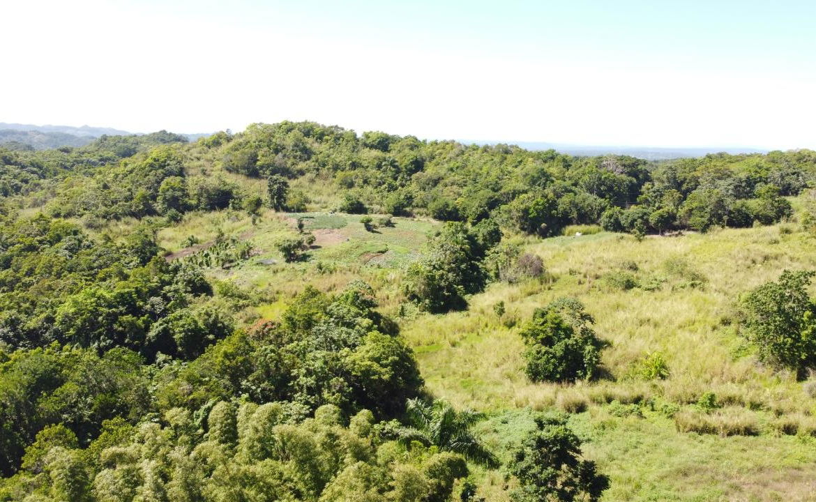 8.42-Acres-Residential-Development-Land-for-Sale-in-Southfield-St.-Ann Twenty-Eighth image of Southfield in Runaway Bay, St. Ann, Jamaica - property is For Sale