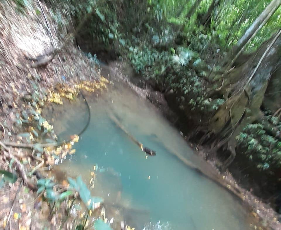 8.42-Acres-Residential-Development-Land-for-Sale-in-Southfield-St.-Ann Thirtieth image of Southfield in Runaway Bay, St. Ann, Jamaica - property is For Sale