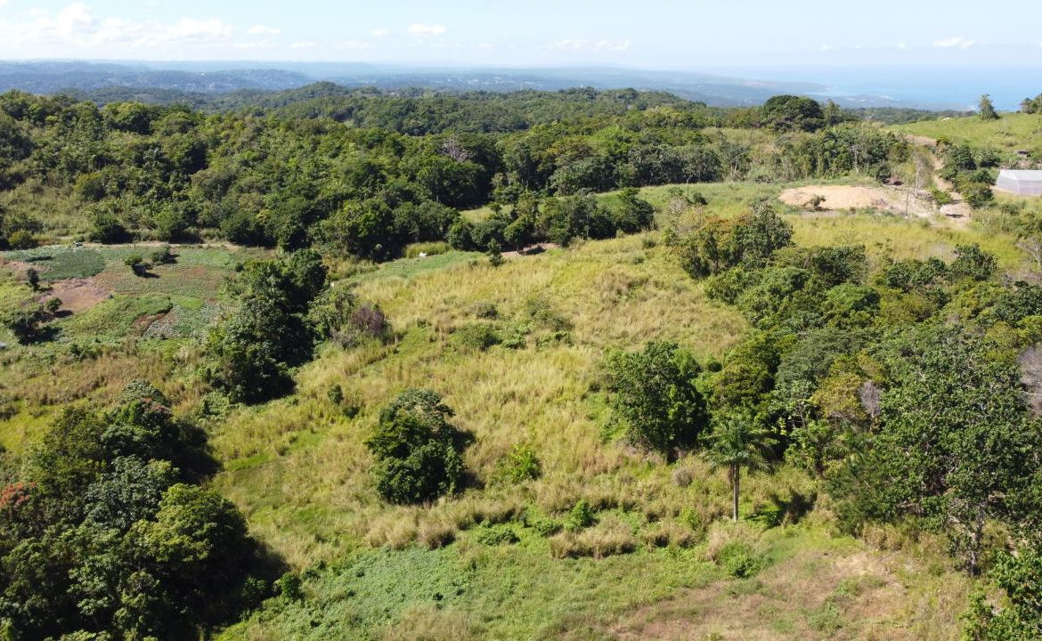 8.42-Acres-Residential-Development-Land-for-Sale-in-Southfield-St.-Ann Fifth image of Southfield in Runaway Bay, St. Ann, Jamaica - property is For Sale