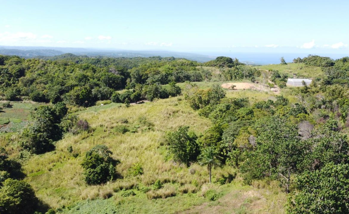 8.42-Acres-Residential-Development-Land-for-Sale-in-Southfield-St.-Ann Sixth image of Southfield in Runaway Bay, St. Ann, Jamaica - property is For Sale