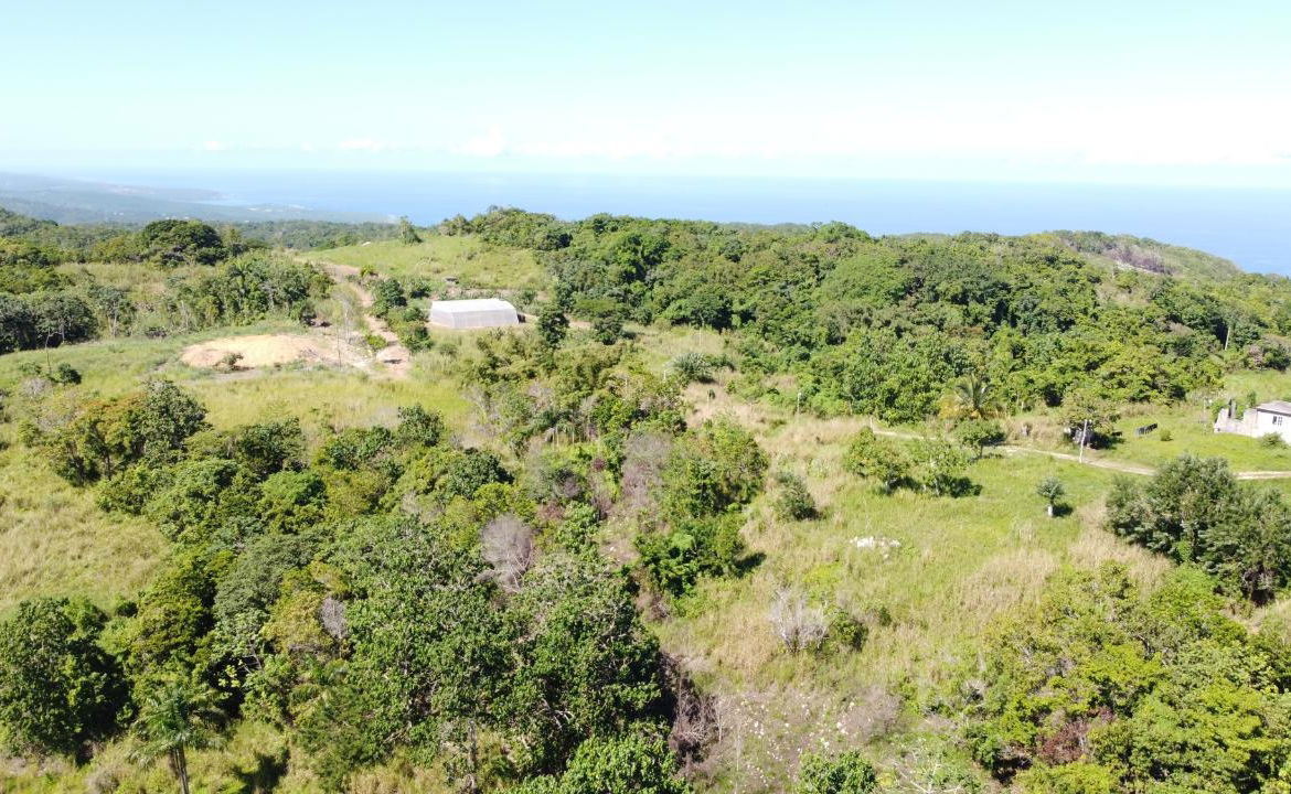 8.42-Acres-Residential-Development-Land-for-Sale-in-Southfield-St.-Ann Eighth image of Southfield in Runaway Bay, St. Ann, Jamaica - property is For Sale