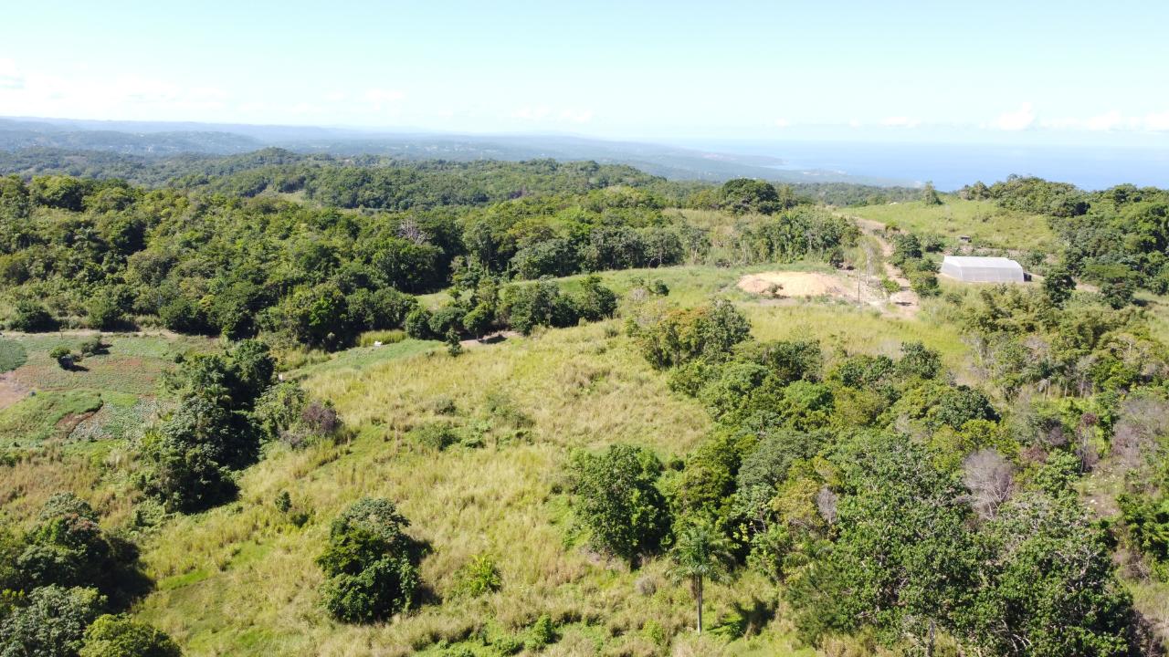 8.42-Acres-Residential-Development-Land-for-Sale-in-Southfield-St.-Ann Ninth image of Southfield in Runaway Bay, St. Ann, Jamaica - property is For Sale