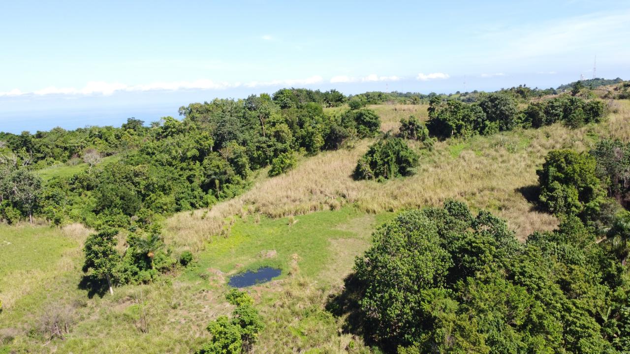 8.42-Acres-Residential-Development-Land-for-Sale-in-Southfield-St.-Ann First image of Southfield in Runaway Bay, St. Ann, Jamaica - property is For Sale