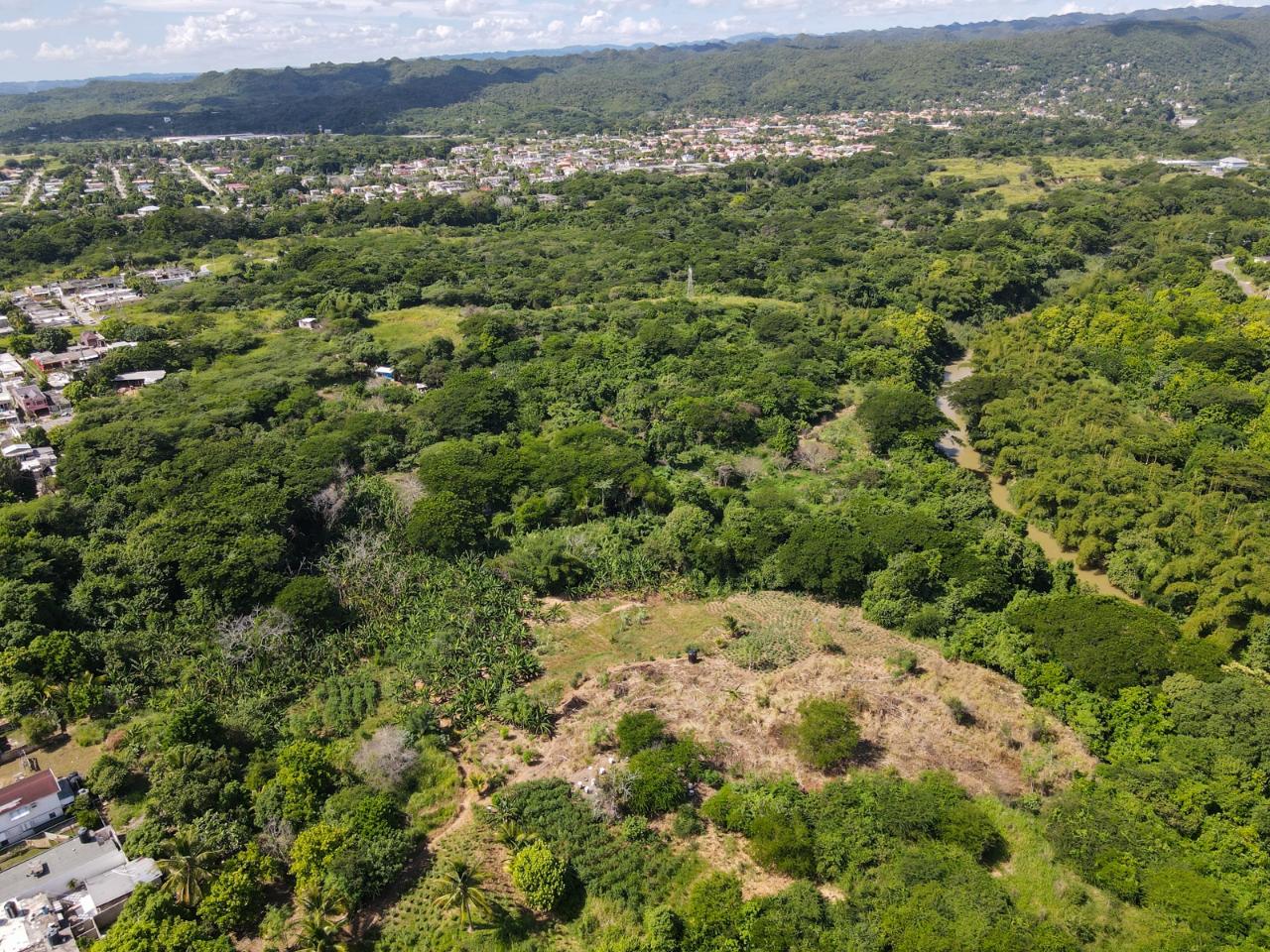 90-Acres-Development-Land-for-Sale-in-St.-Catherine-Jamaica Eleventh image of Part of Angels Pen in Angels, St. Catherine, Jamaica - property is For Sale