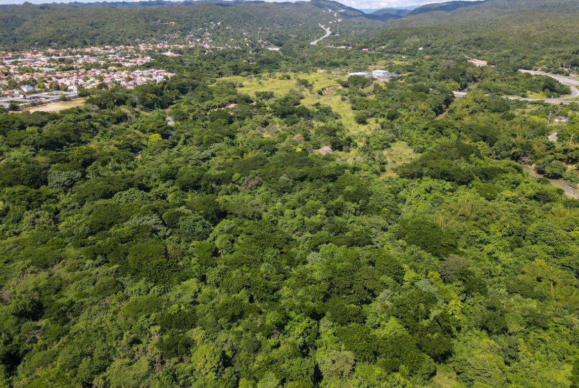 Twelfth image of Part of Angels Pen in Angels, St. Catherine, Jamaica - property is For Sale