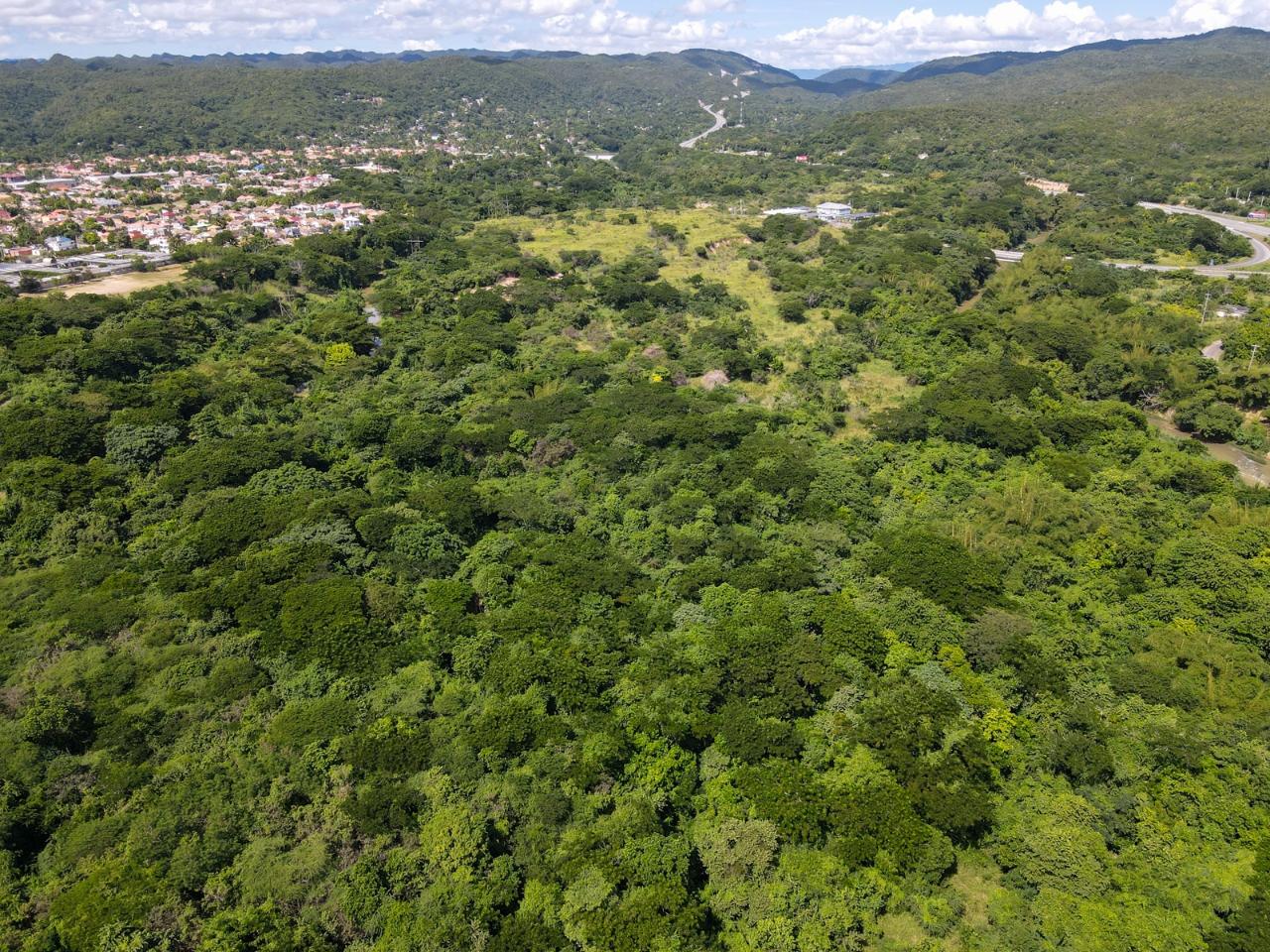 90-Acres-Development-Land-for-Sale-in-St.-Catherine-Jamaica Twelfth image of Part of Angels Pen in Angels, St. Catherine, Jamaica - property is For Sale
