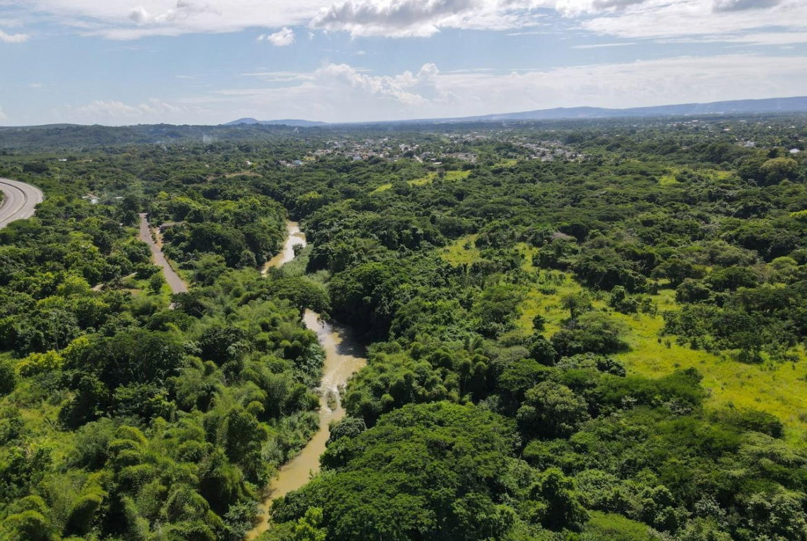 Thirteenth image of Part of Angels Pen in Angels, St. Catherine, Jamaica - property is For Sale