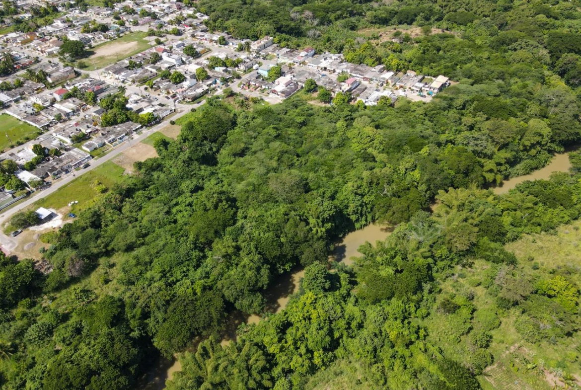 Tenth image of Part of Angels Pen in Angels, St. Catherine, Jamaica - property is For Sale