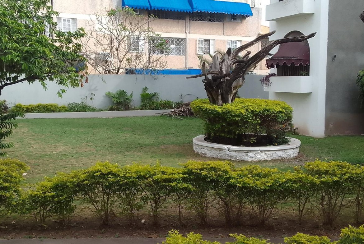 First image of Apt 22-11 Central Avenue(8) in CONSTANT SPRING, St. Andrew, Jamaica - property is For Sale