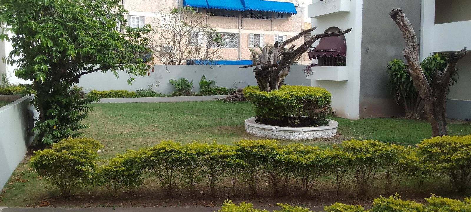 First image of Apt 22-11 Central Avenue(8) in CONSTANT SPRING, St. Andrew, Jamaica - property is For Sale