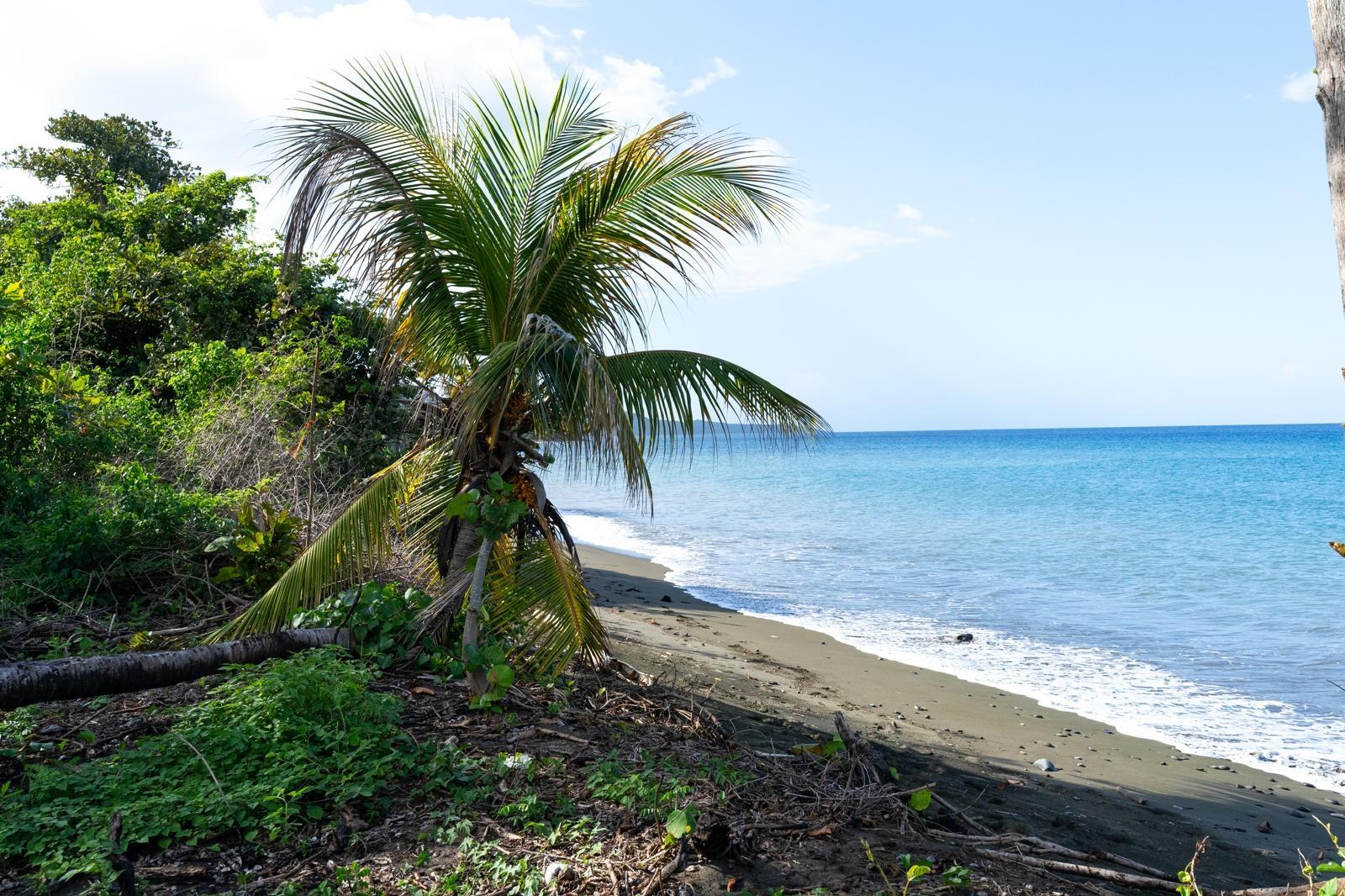 Beachfront-Lots-for-Sale-in-Portland-Jamaica-Your-Dream-Home-Awaits Second image of Hermitage Farm in Hope Bay, Portland, Jamaica - property is For Sale