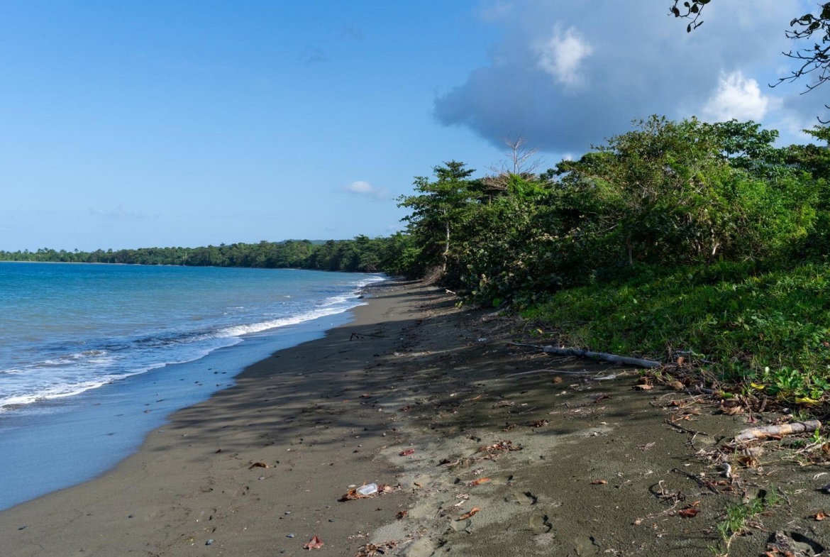 First image of Hermitage Farm in Hope Bay, Portland, Jamaica - property is For Sale