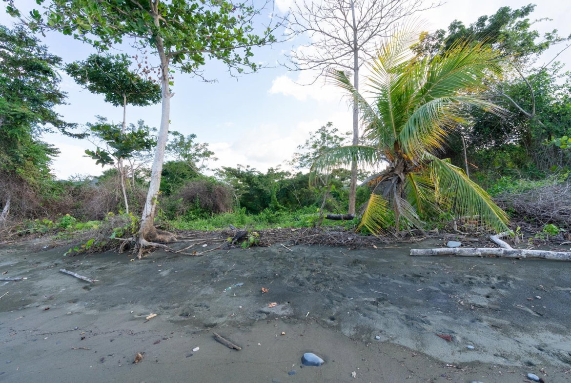 Fourteenth image of Hermitage Farm in Hope Bay, Portland, Jamaica - property is For Sale