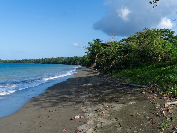 First image of Hermitage Farm in Hope Bay, Portland, Jamaica - property is For Sale