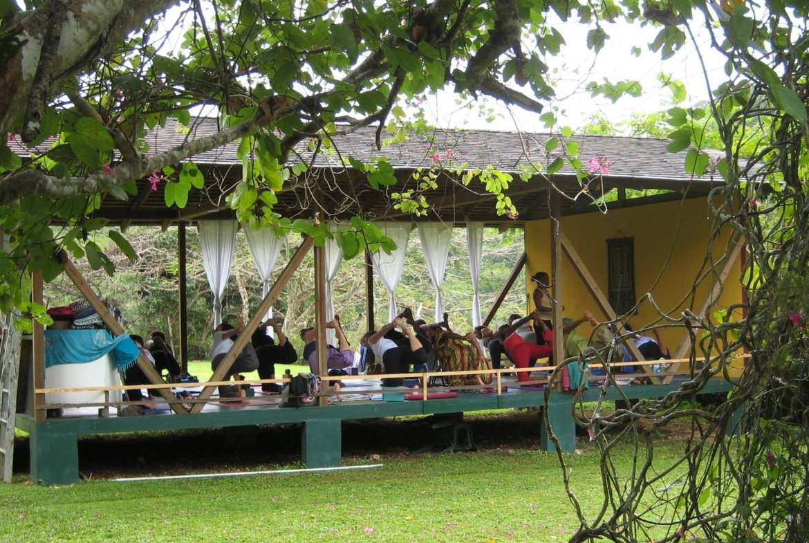 Seventeenth image of Bromley a3 in Walkerswood, St. Ann, Jamaica - property is For Sale