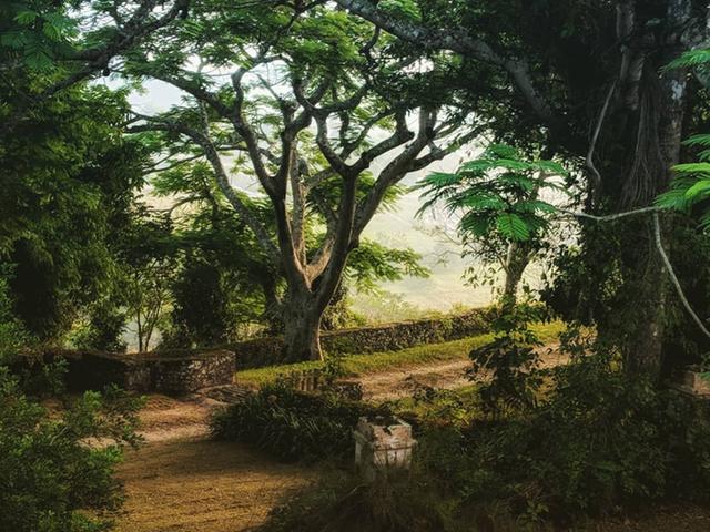 Fifth image of Bromley a3 in Walkerswood, St. Ann, Jamaica - property is For Sale