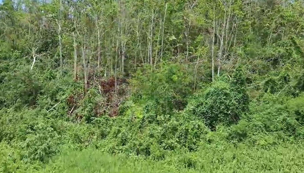 Fourth image of Kilmarnok Way, 48 Moorlan in Mandeville, Manchester, Jamaica - property is For Sale