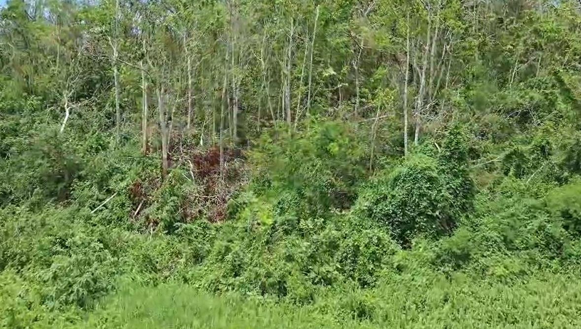 Fourth image of Kilmarnok Way, 48 Moorlan in Mandeville, Manchester, Jamaica - property is For Sale