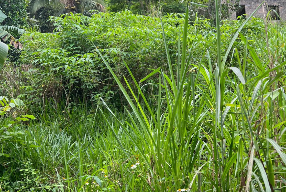 Second image of 30 Greys Hill, Mandeville in Mandeville, Manchester, Jamaica - property is For Sale