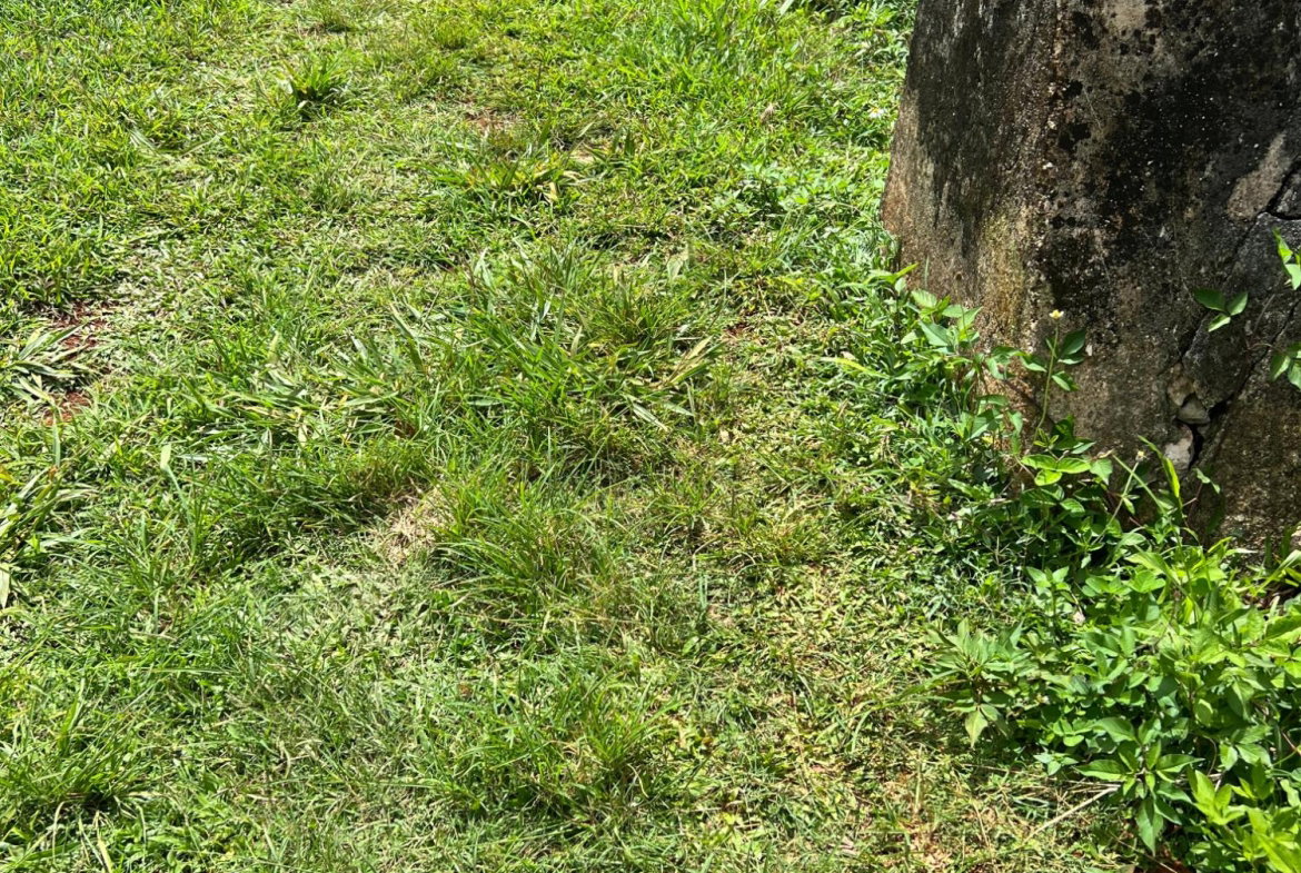 Fifteenth image of 30 Greys Hill, Mandeville in Mandeville, Manchester, Jamaica - property is For Sale