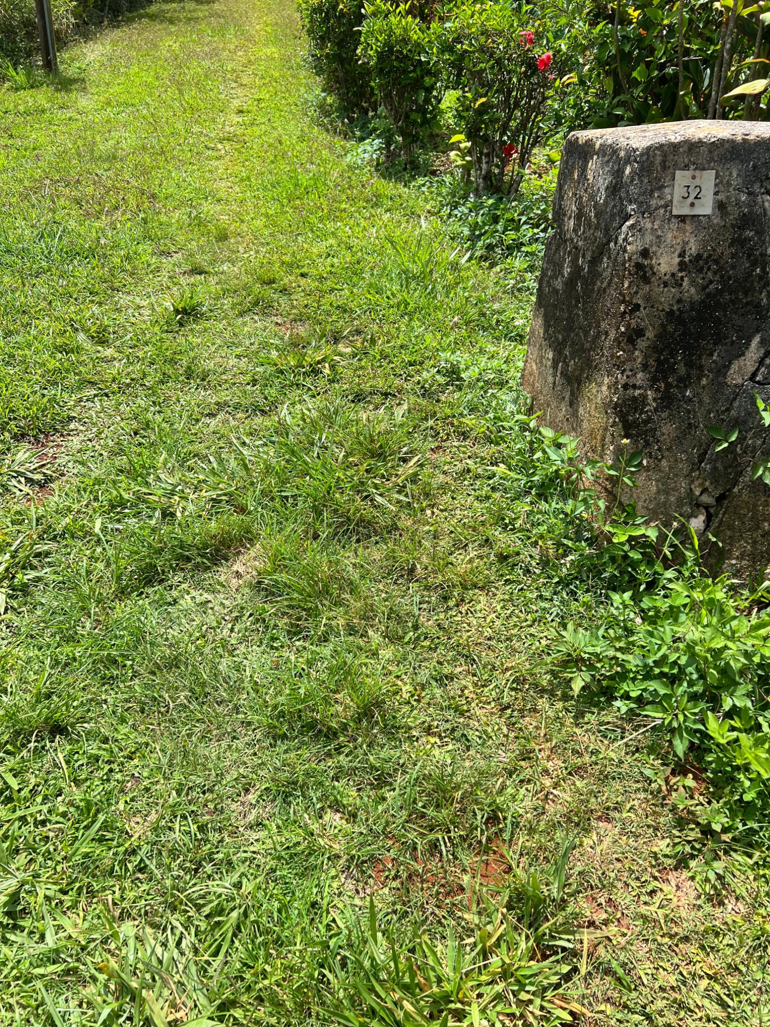 Fifteenth image of 30 Greys Hill, Mandeville in Mandeville, Manchester, Jamaica - property is For Sale