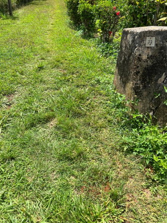 Fifteenth image of 30 Greys Hill, Mandeville in Mandeville, Manchester, Jamaica - property is For Sale