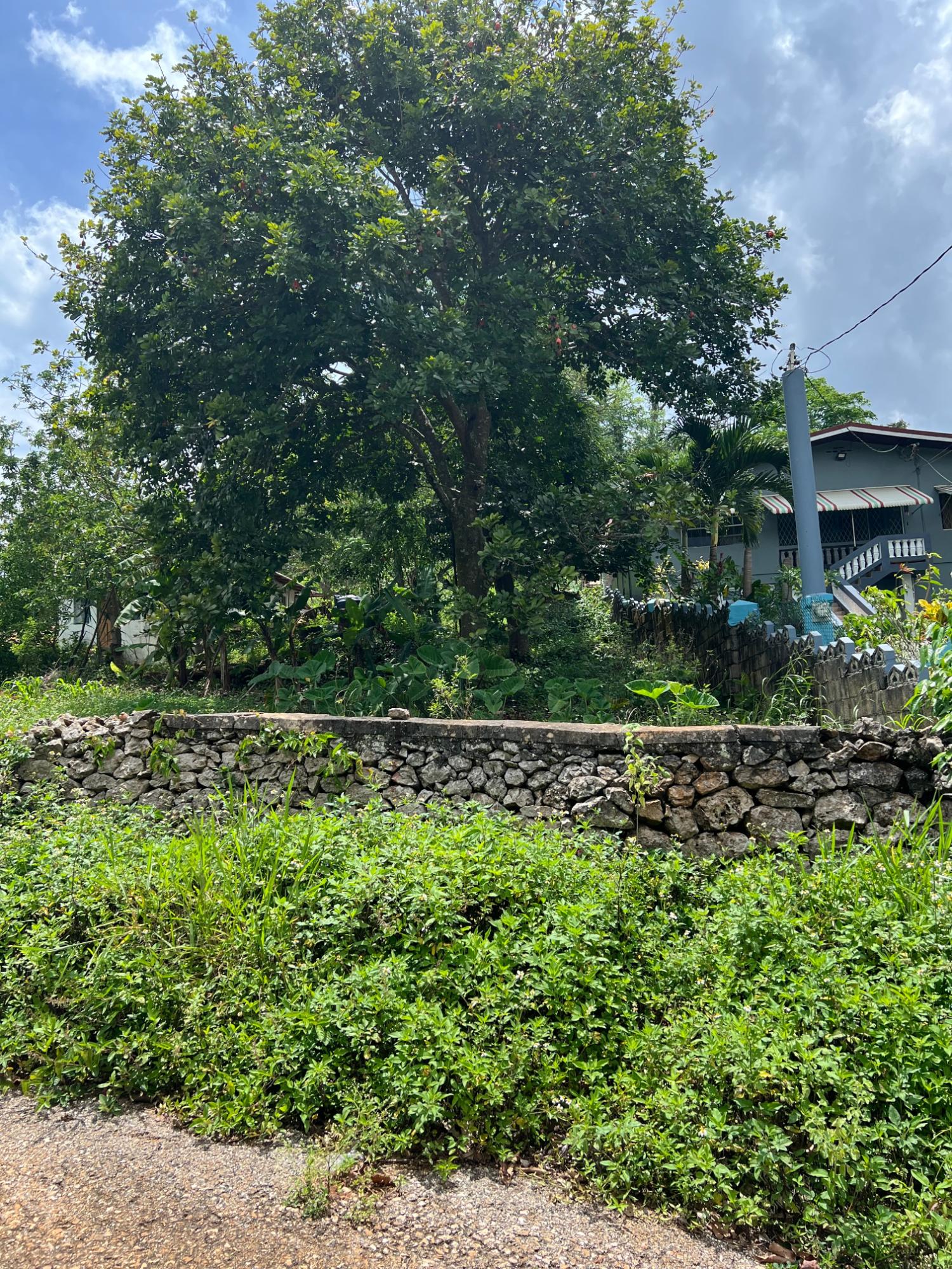 Eighteenth image of 30 Greys Hill, Mandeville in Mandeville, Manchester, Jamaica - property is For Sale